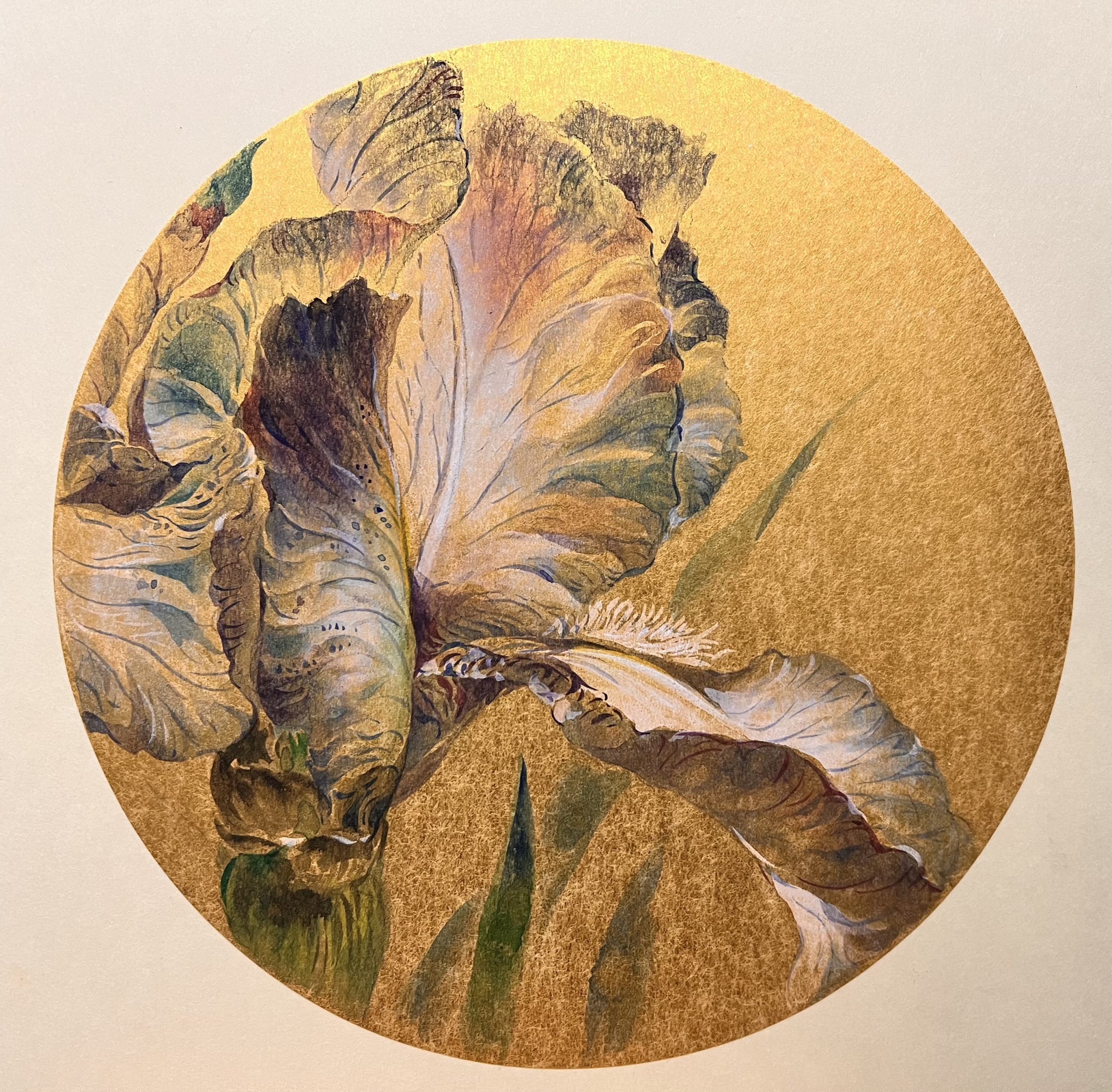 綻 彩墨，金箋團扇 直徑21.5cm 2024